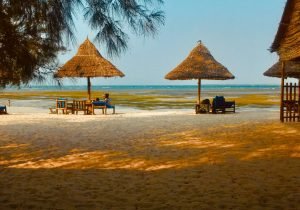 pexels-manuél-2949825